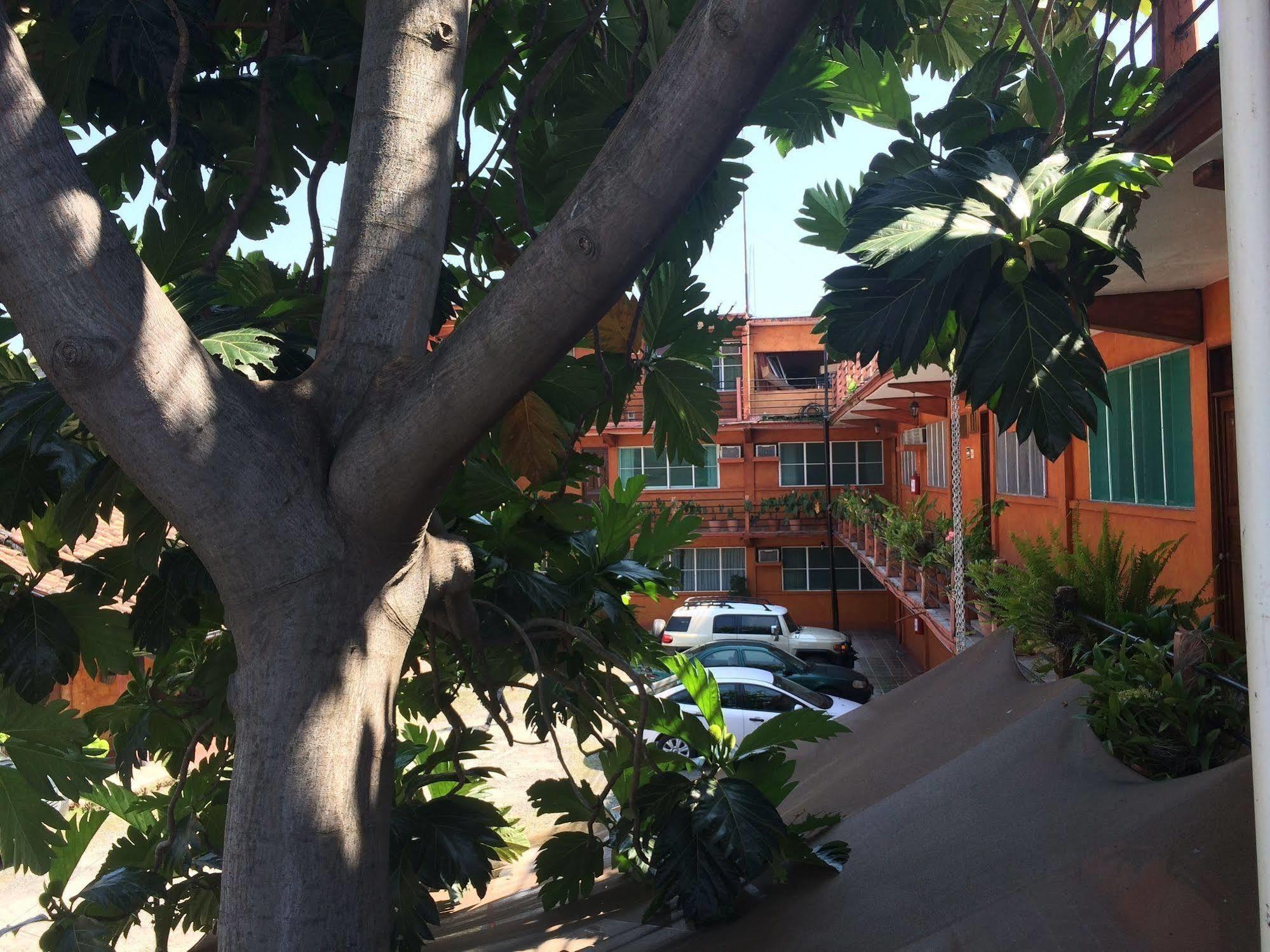 Hotel Fenix Tapachula Exteriér fotografie